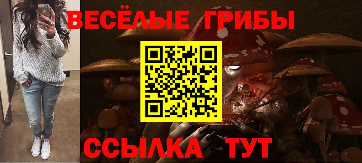 Псилоцибиновые грибы Psilocybine cubensis Клин