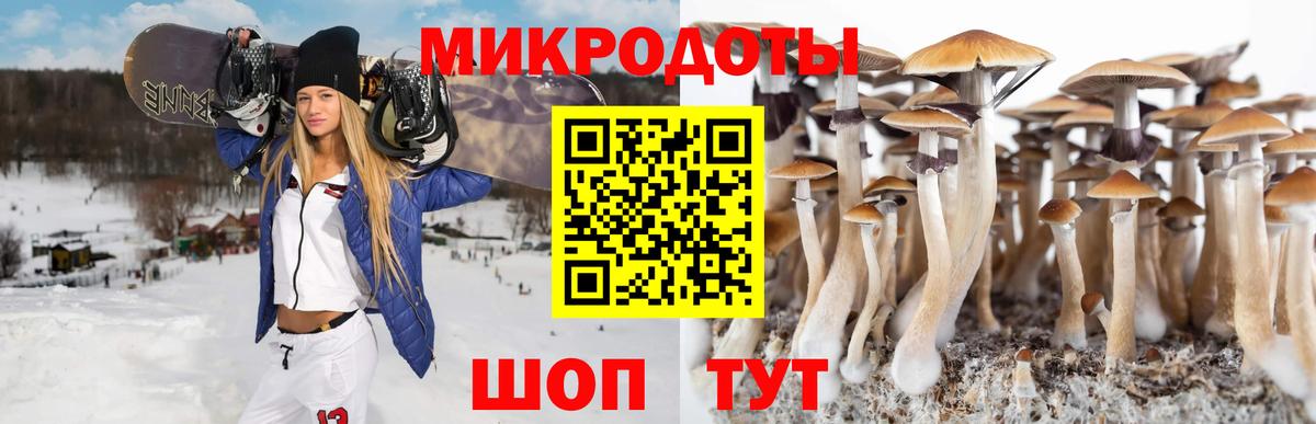 Галлюциногенные грибы Magic Shrooms  Псилоцибиновые грибы Psilocybine cubensis  Вход с VPN  купить  сайты  Клин 